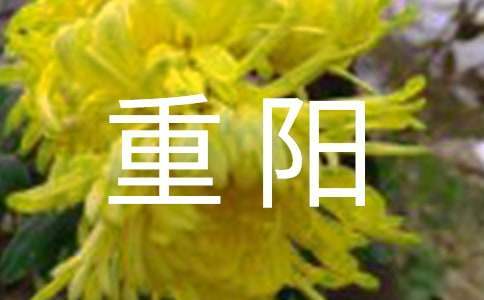 重陽佳節周記 重陽節周記怎么寫500字