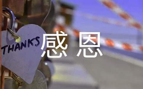 感恩父母的活動總結 感恩父母的活動總結50字