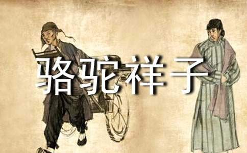 名著《駱駝祥子》閱讀心得體會感想 名著《駱駝祥子》閱讀心得體會感想怎么寫