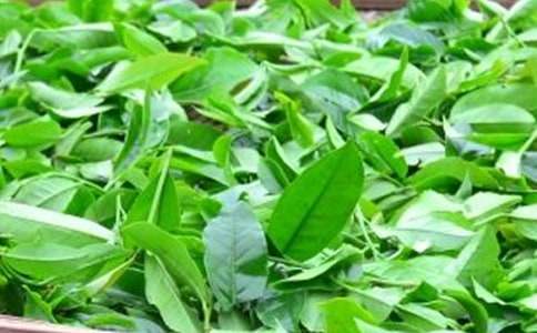 茶葉營銷活動策劃 茶葉營銷活動策劃方案