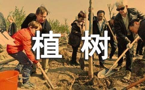 植樹造林實施方案 植樹造林實施方案范本