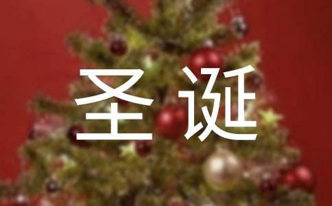 圣誕節晚會活動總結 圣誕節晚會活動總結報告